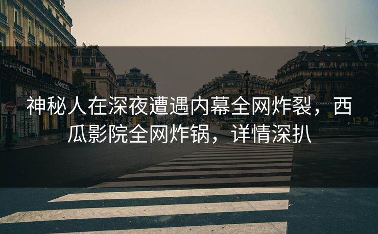 神秘人在深夜遭遇内幕全网炸裂,西瓜影院全网炸锅,详情深扒